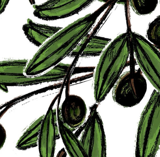 Olea europaea